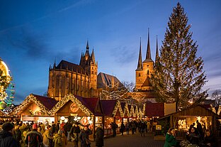 Lange Reihe festlich geschmückter Buden, ein hoher beleuchteter Weihnachtsbaum und Domtürme vor blauem Himmel.