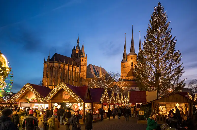 Lange Reihe festlich geschmückter Buden, ein hoher beleuchteter Weihnachtsbaum und Domtürme vor blauem Himmel.