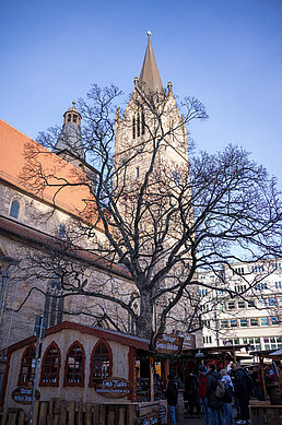 Großer Kirchturm und kahler Baum bilden den Rahmen, davor reihen sich Marktstände mit Menschen in der Gasse