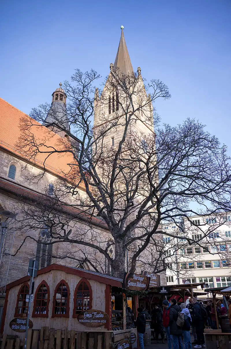 Großer Kirchturm und kahler Baum bilden den Rahmen, davor reihen sich Marktstände mit Menschen in der Gasse