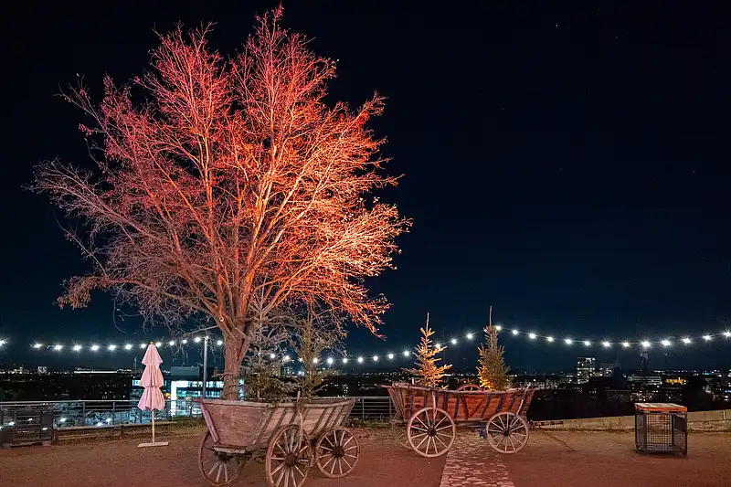 Großer, orange beleuchteter Baum neben Holzwagen mit kleinen Tannen; darüber spannt sich eine Lichterkette in die Nacht.